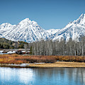 Grand Teton Winter